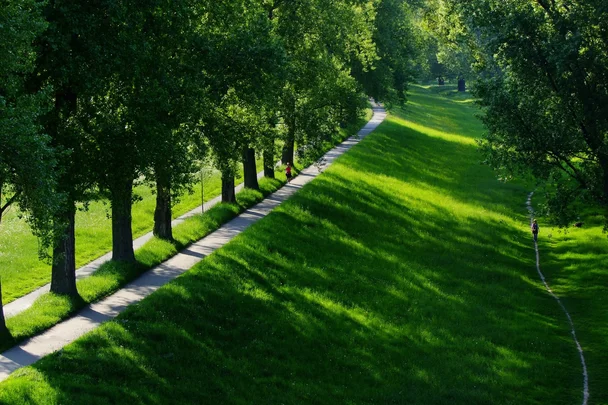 Mark Aurel Klinik | Rheinwiesen Dies sind die Rheinwiesen in Düsseldorf.